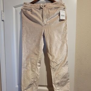 Velvet Beige Pants